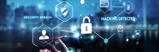 Shutterstock 617737619