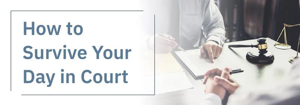 How to Survive Your Day in Court