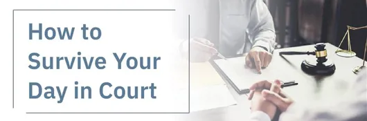 How to Survive Your Day in Court
